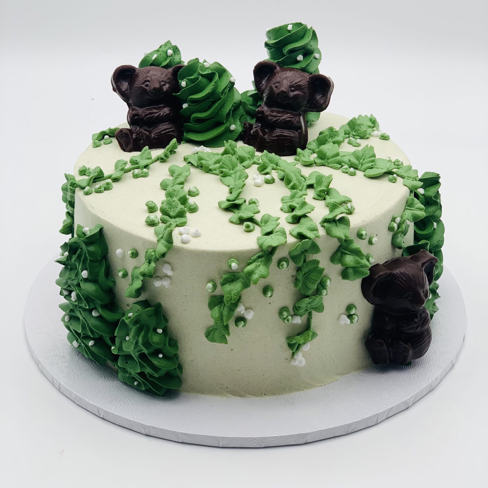 Australian Jungle and Koala Cake