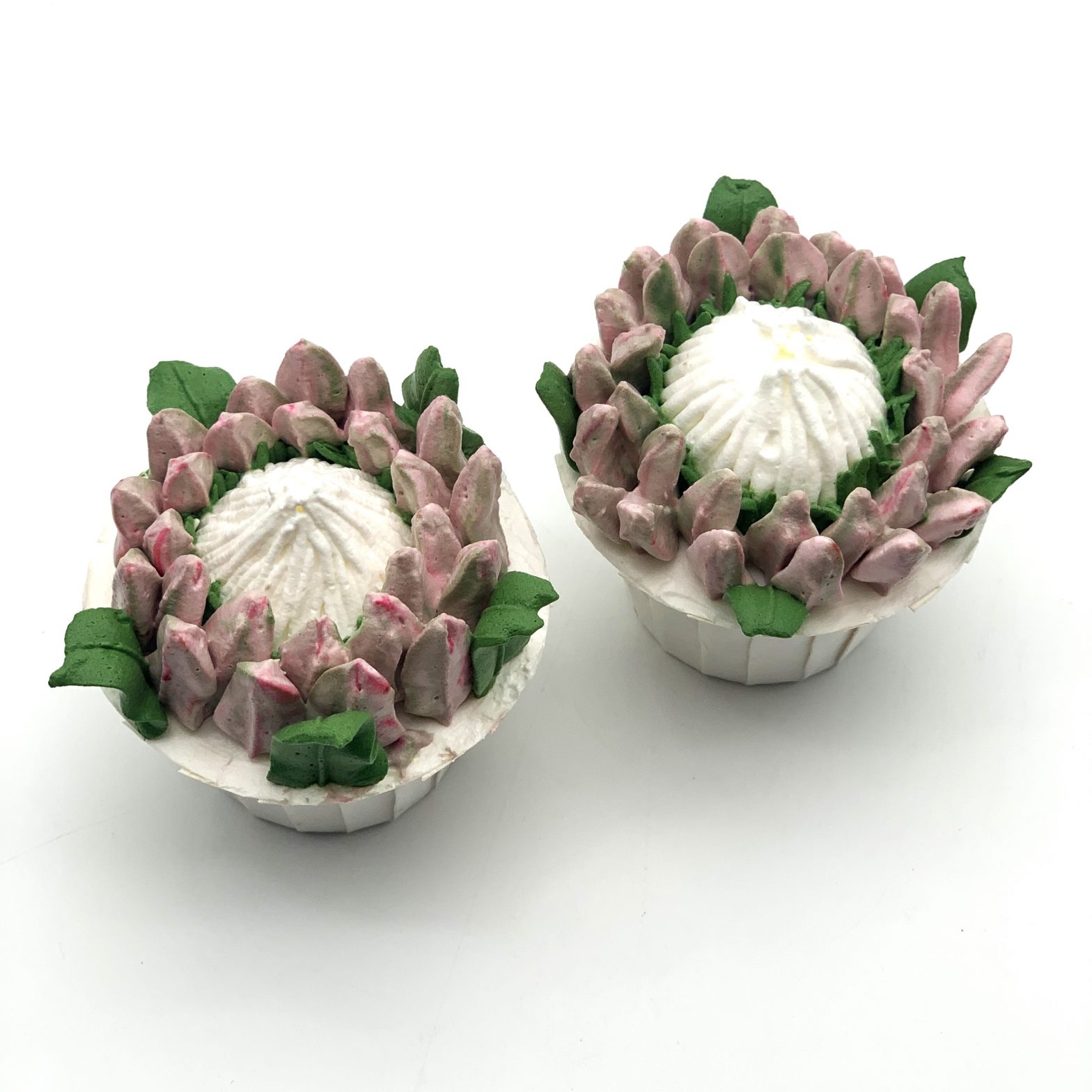 Protea cupcake