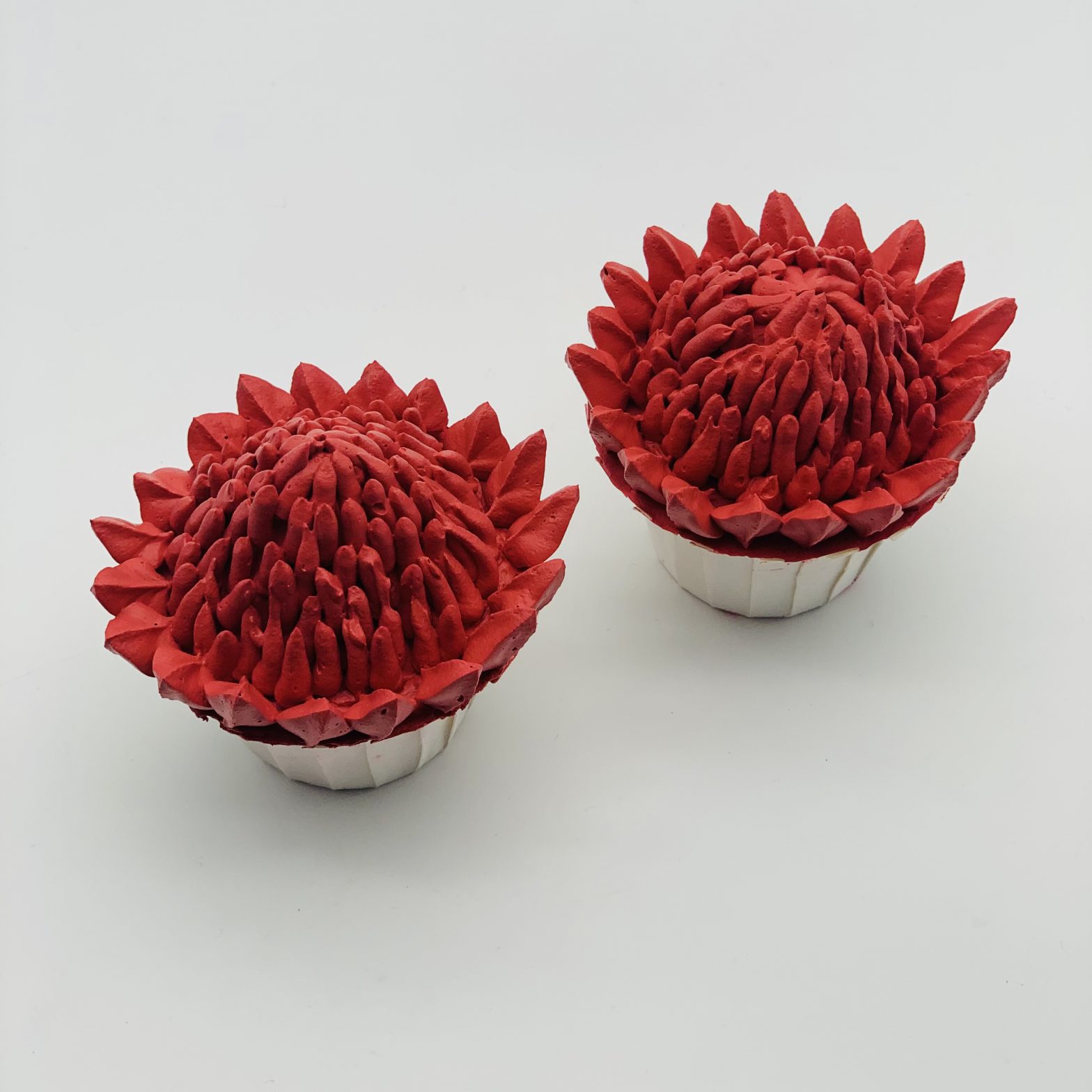 Waratah cupcake