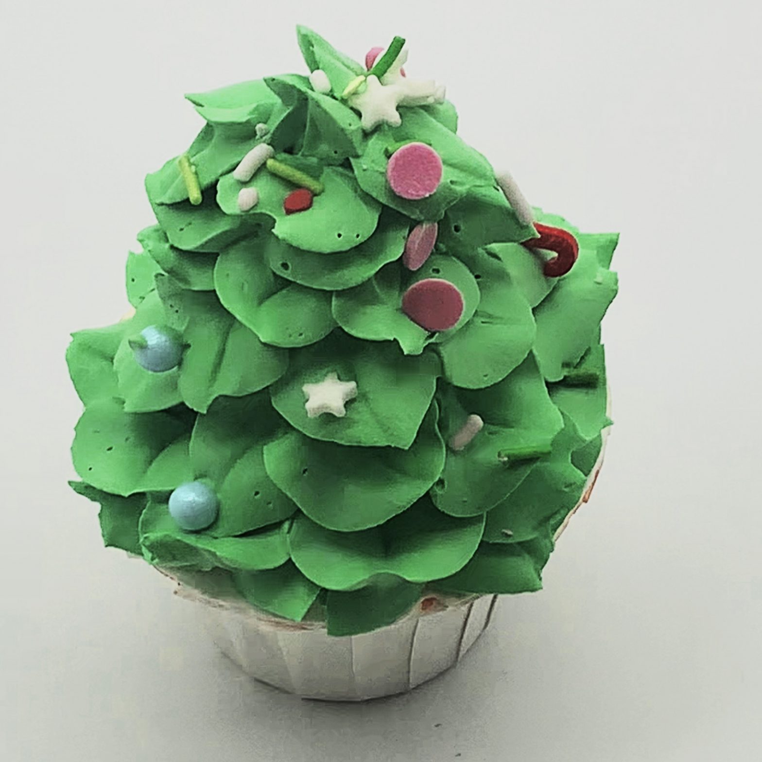Pine Tree Cupcake